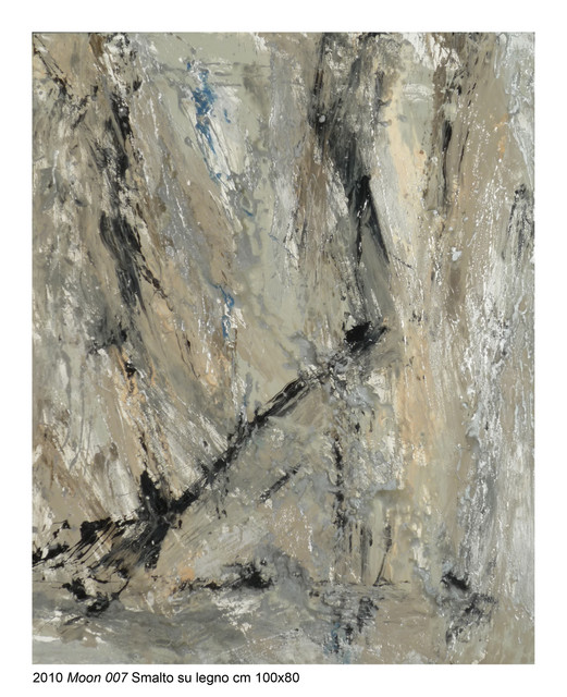 Moon 2010