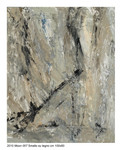 Moon 2010