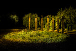 Arte nell'orto 2012- Foto Emanuela Sambucci, Velletri